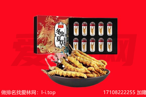 宜春回收虫草.jpg